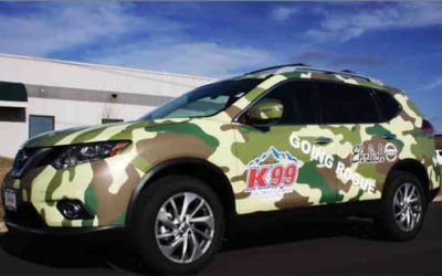 Vehicle Wraps and Graphics Terminology